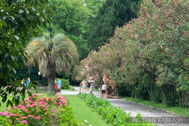 Сочи этим летом ждет больше 4,6 млн туристов