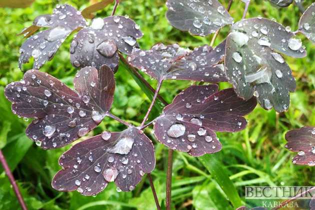 Ставрополье ждет два дня шторма