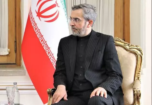 Врио главы МИД Ирана Али Багери Кани