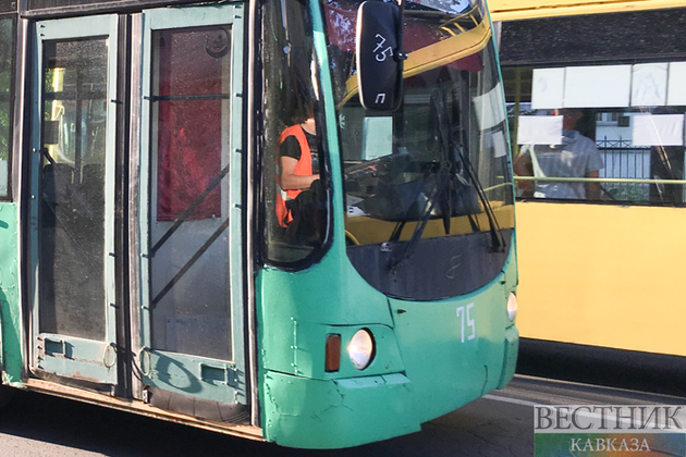 Автобусы в Геленджик и Крым запустят из Петербурга