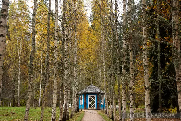 Пушкинские горы: как добраться, что посмотреть, сколько стоит посещение?