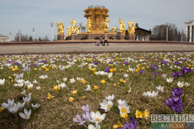 Выставка Третьяковки откроется на ВДНХ осенью