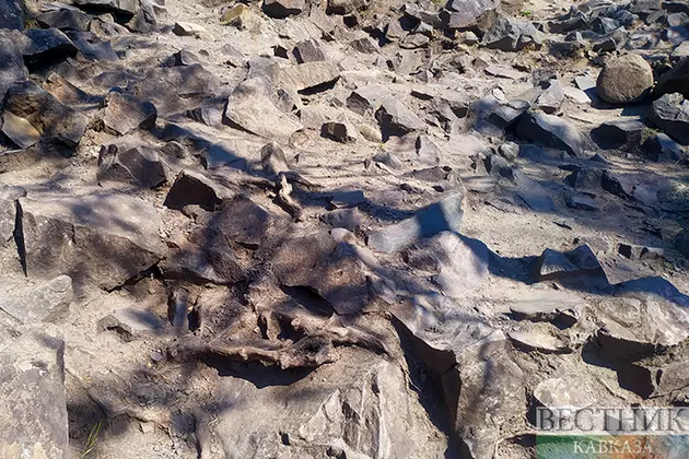 Туристы в Кисловодске смогут увидеть единственные в России следы динозавров