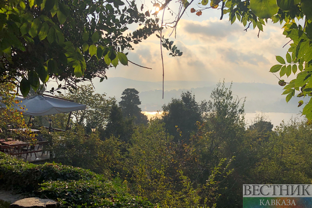 Эрдоган: новые поколения получат экологически чистую страну