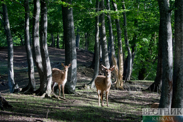 Особо охраняемой территорией на Каспии обзавелся Дагестан 