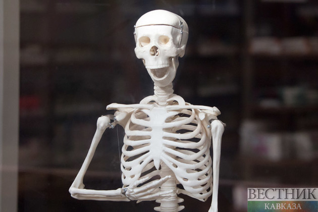 Дети Северной Осетии познают анатомию на цифровых 3D моделях