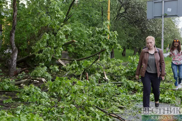 Ураган повредил дома и повалил деревья в Армении
