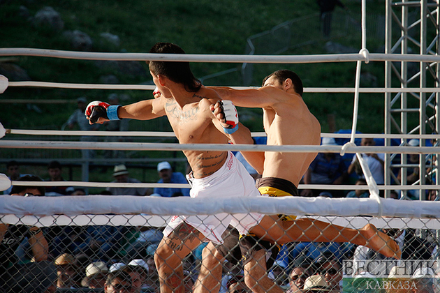 В Ингушетии начался турнир MMA «Битва в Назрани»