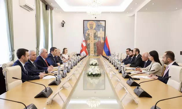 встреча глав МИД Грузии и Армении в Тбилиси