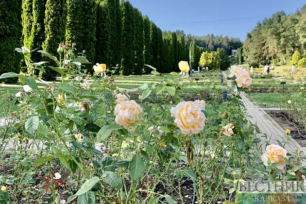 Кисловодский национальный парк