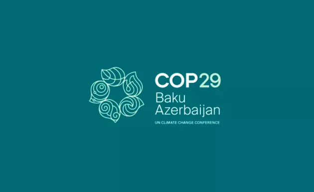 Азербайджан будет выдавать "Специальные визы COP29"