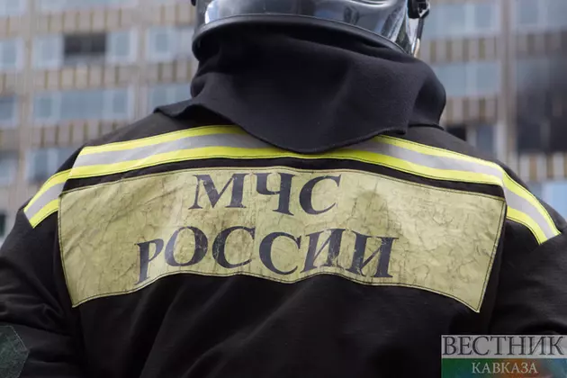 Пожарные потушили леса под Новороссийском, Геленджиком и Армавиром