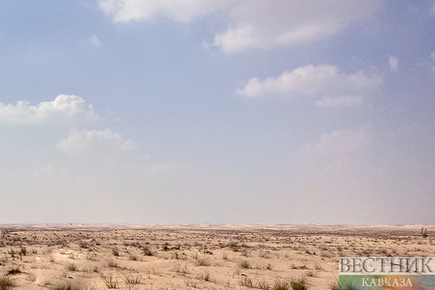 Пустоши Аральского моря поможет озеленить Китай