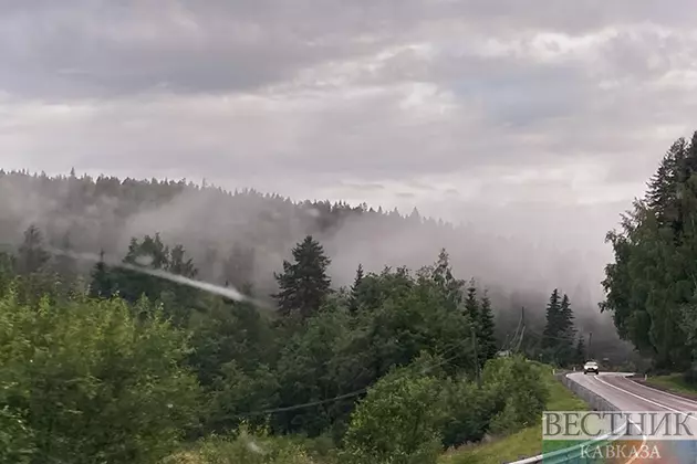 Пожарная опасность на юге России и в СКФО снизилась