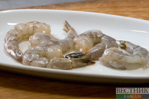 Азовское море превратилось в рыбный бульон