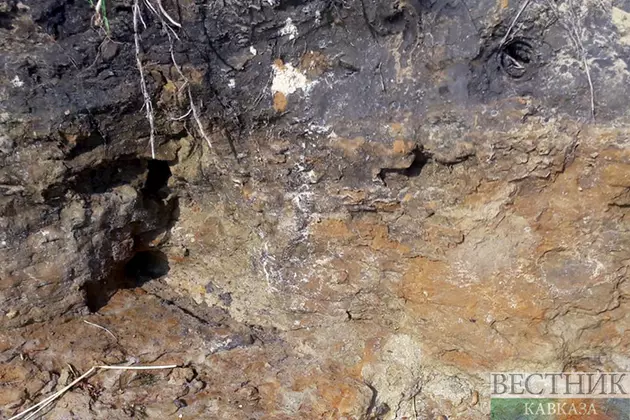 Скелет древнего человека обнаружили в грузинской пещере Бонди