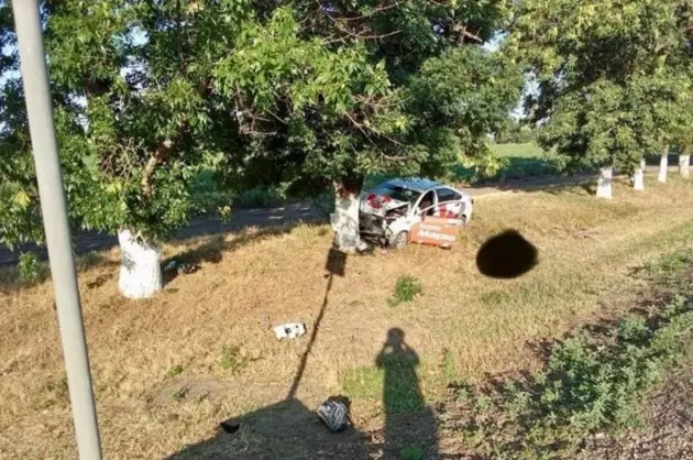 Житель КБР влетел в дерево на машине и разбился насмерть