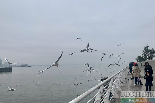 Путин после встречи с Алиевым поручил Астрахани обеспокоиться обмелением Каспия