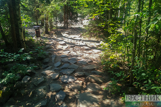 Спасатели вывели туристок из леса около Туапсе