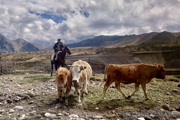 Приэльбрусье