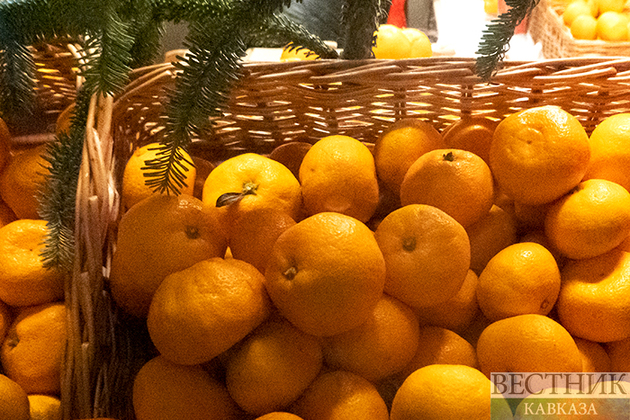 Мандарины из Абхазии повезли в Россию