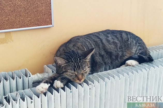 Целый город в Кабардино-Балкарии остался без отопления