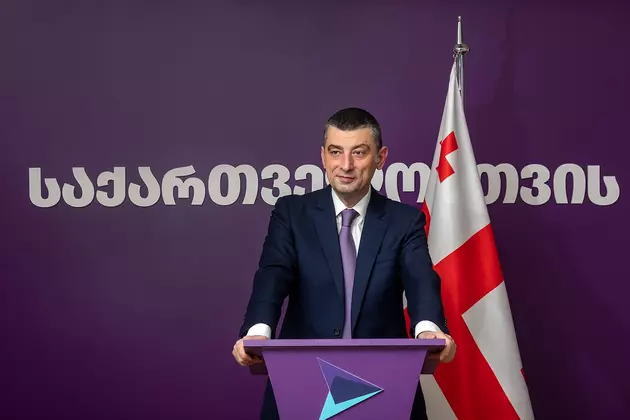 Георгий Гахария сегодня: биография, образование и партия «За Грузию»