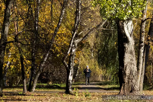 Осень в Москве