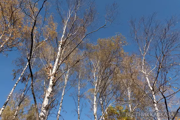 Осень в Москве