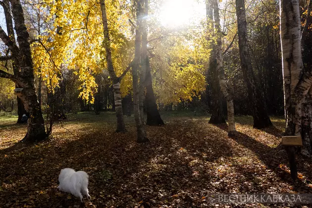 Осень в Москве