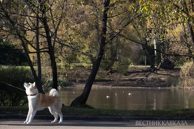 Осень в Москве