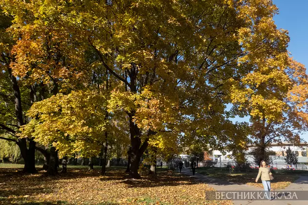 Осень в Москве