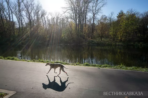 Осень в парке Яуза