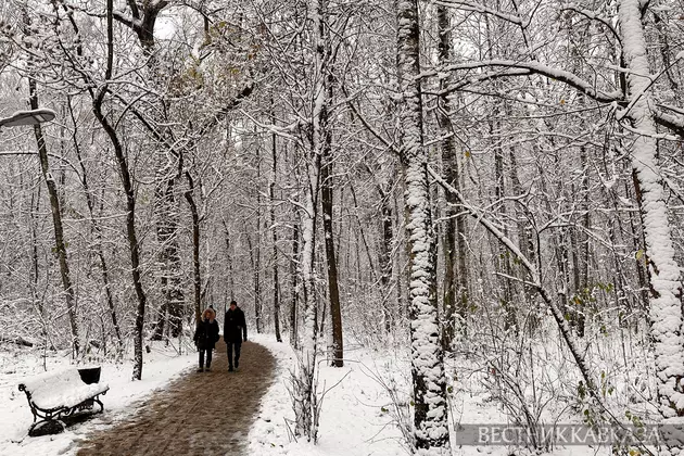 Снег в Москве 4 ноября