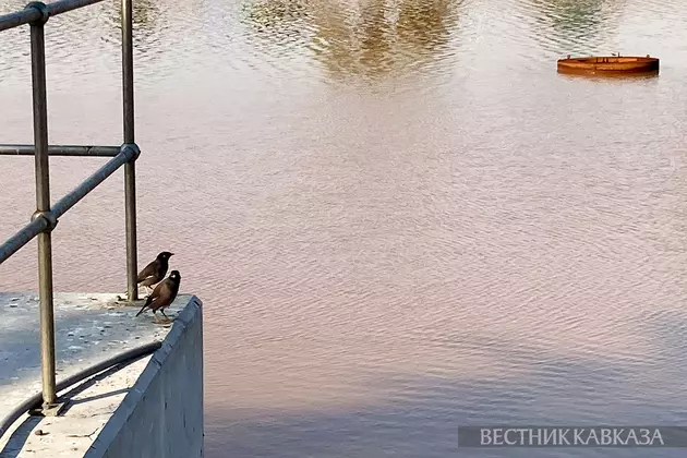 Загрязненная вода