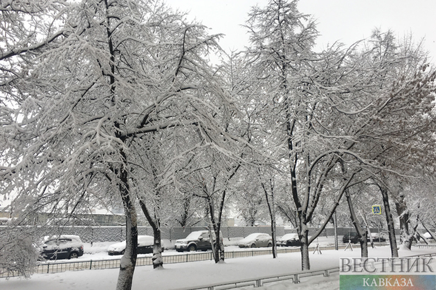Зима близко: снегопады накроют Москву в выходные