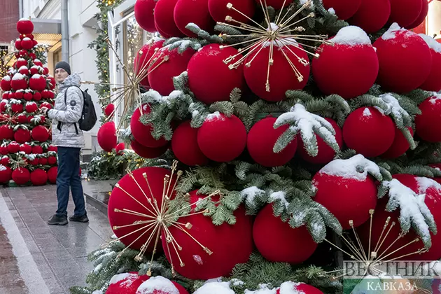 Новогодние елки в Краснодаре защитят от вандалов