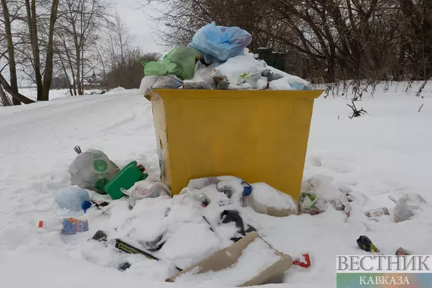 Мусорная помойка зимой