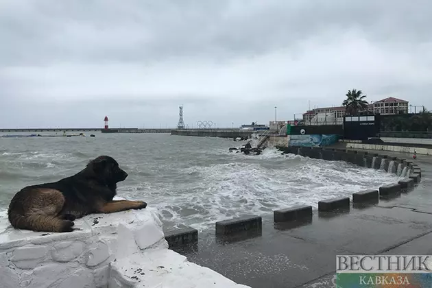 Турпоток в Сочи в ноябре достиг полумиллиона