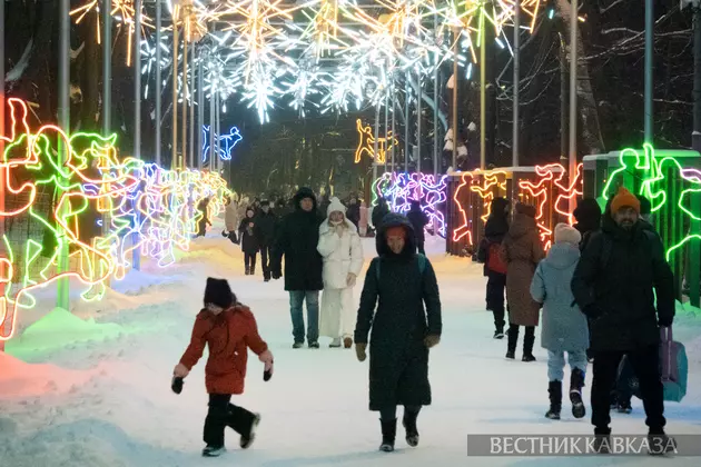 Новогодние украшения в парке Сокольники