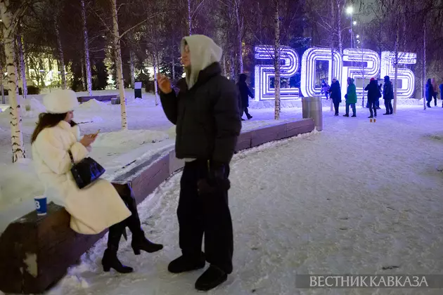 Новогодние украшения в парке Зарядье