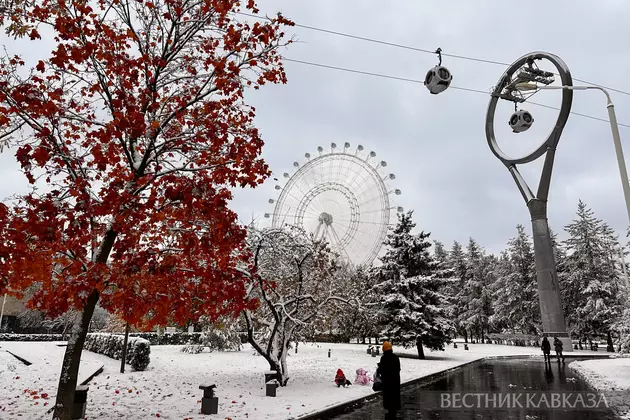 Снегопад в Москве