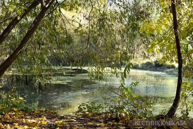 Осень в парке Покровское-Стрешнево