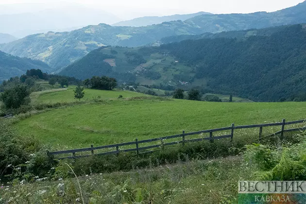 Дагестан нарастит производство черного тмина