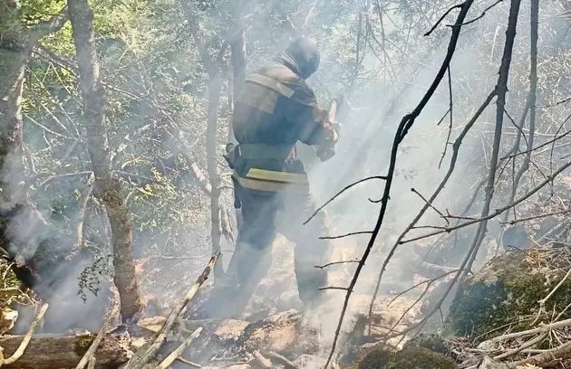 природный пожар в Ставропольском крае