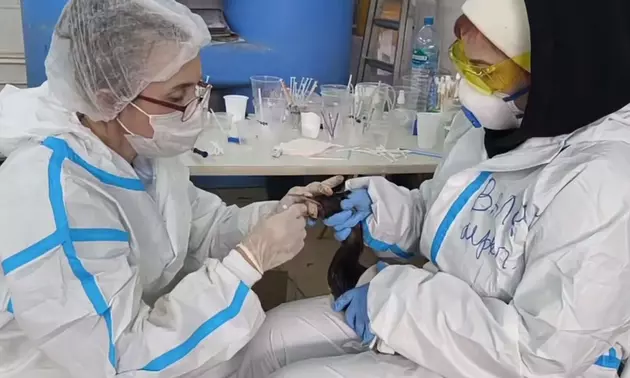 спасение птиц в Краснодарском крае