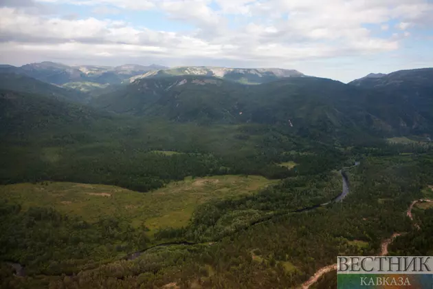 Новые леса появятся в Дагестане