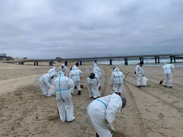 Новые пятна мазута загрязнили пляжи Анапы на 24 участках