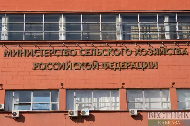 Товарооборот аграрной продукции между Россией и Казахстаном вырос на 4%