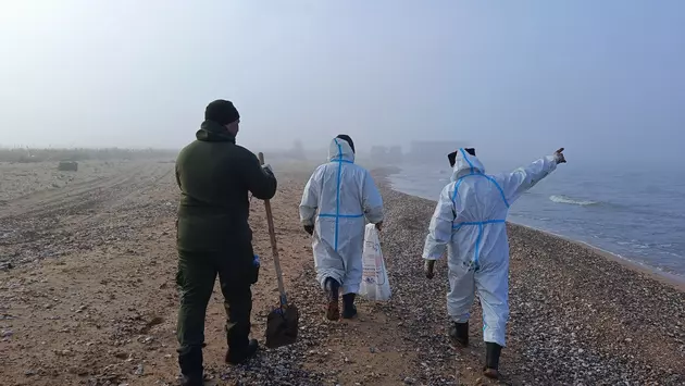 Татарстан поможет Кубани в спасении Черного моря от мазута